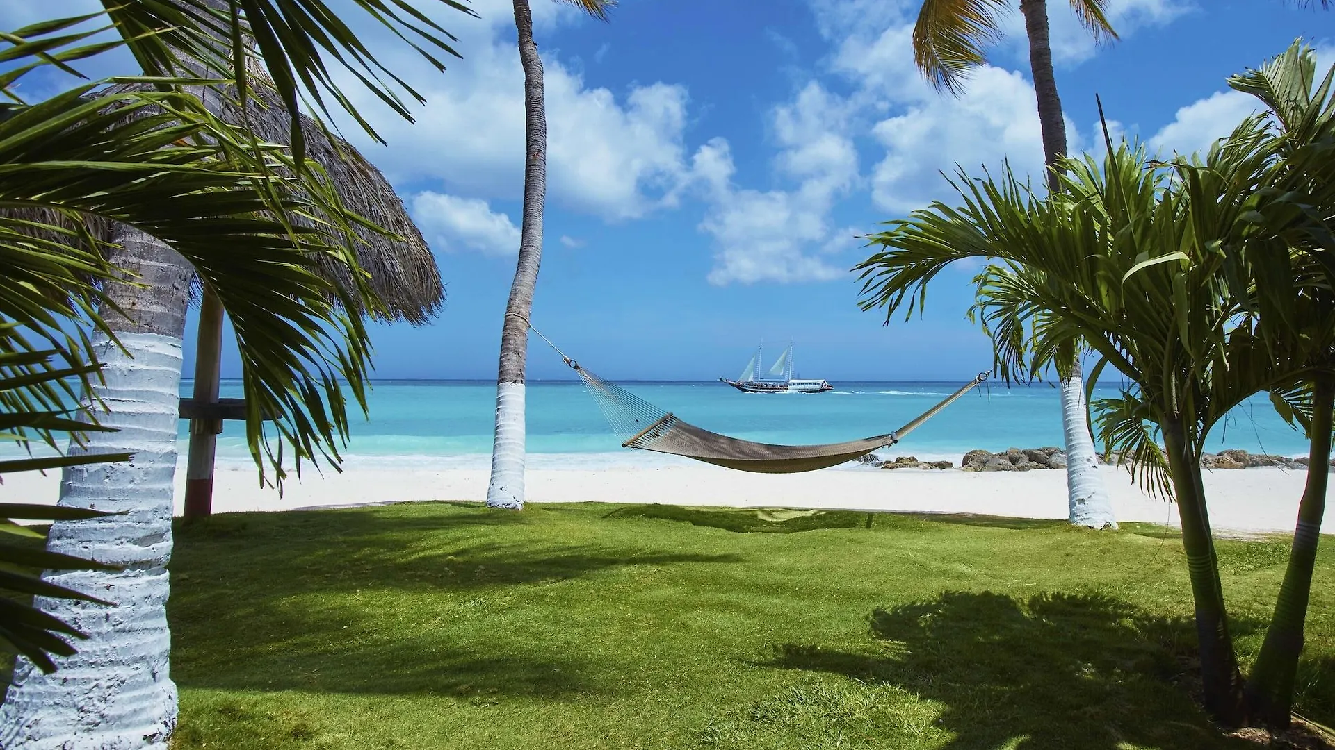 **** Hotel Divi Aruba All Inclusive Aruba